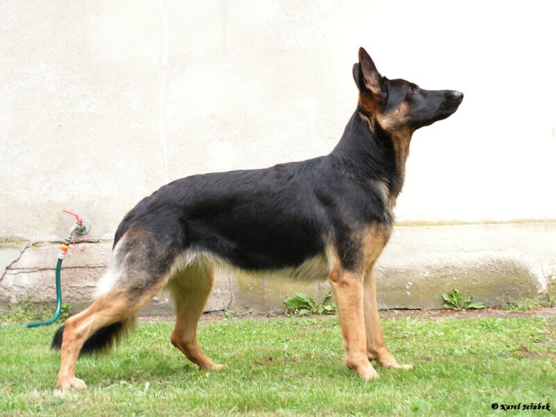 PICT0005.jpg
